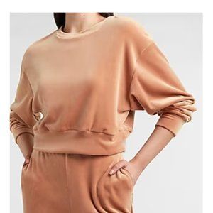 Velour Cropped Crew Neck Sweatshirt